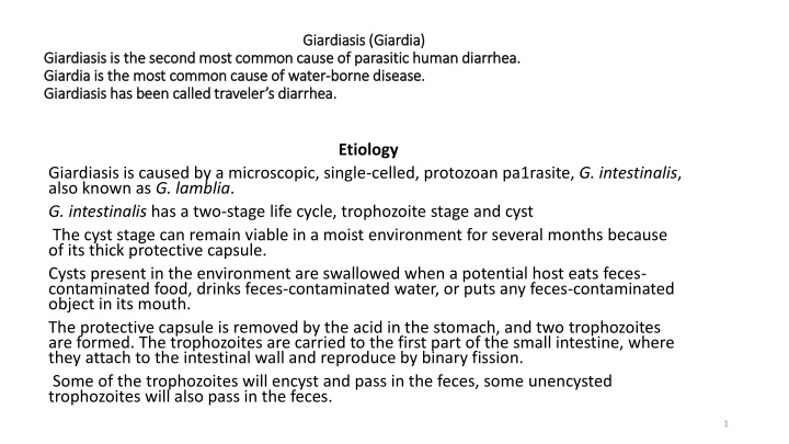 giardiasis giardia giardiasis giardia