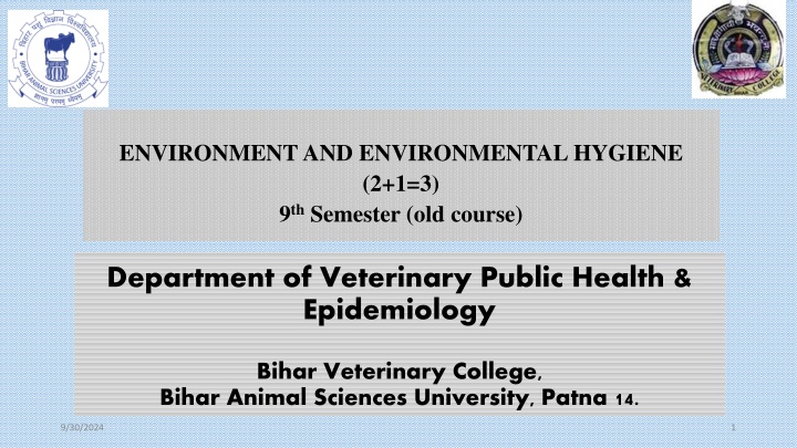 environment and environmental hygiene