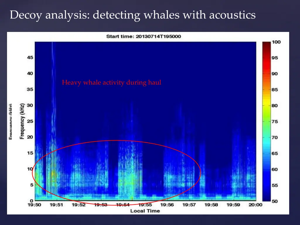 decoy analysis detecting whales with acoustics 1