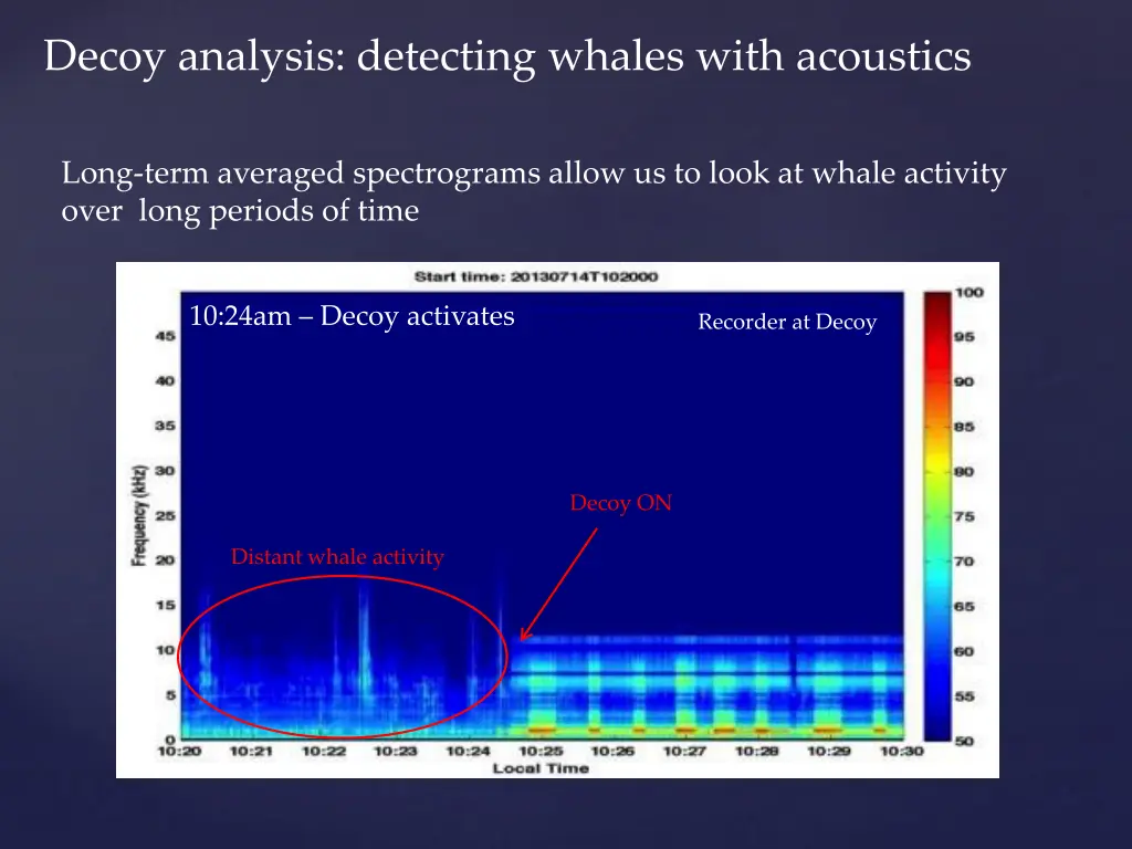 decoy analysis detecting whales with acoustics