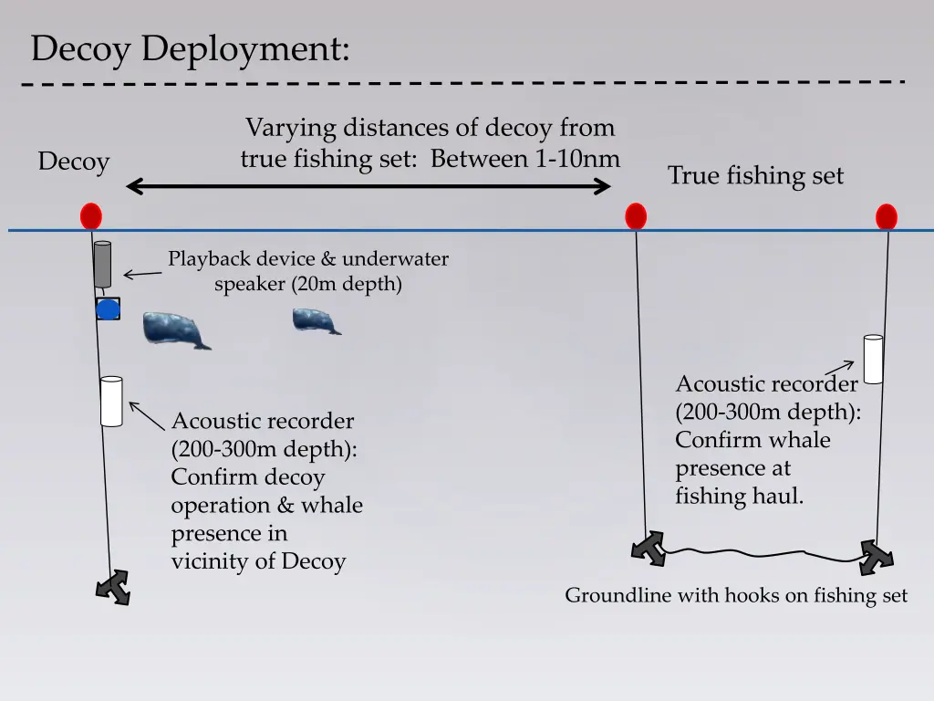 decoy deployment