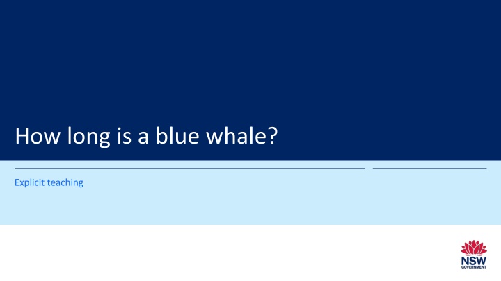 how long is a blue whale