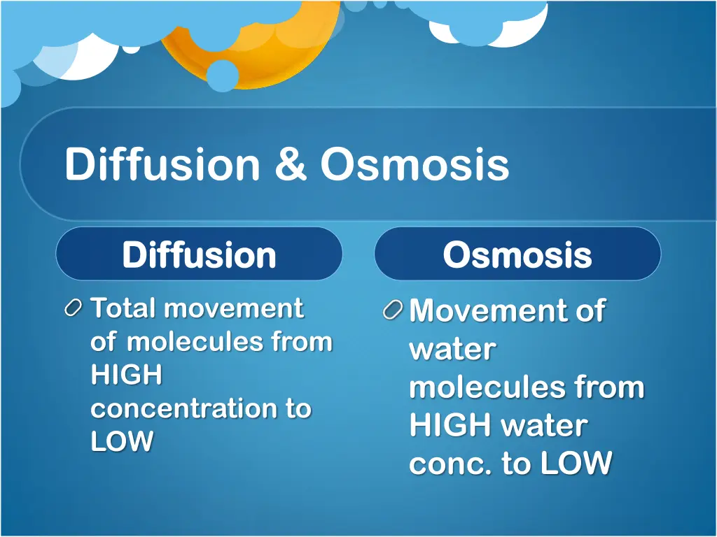 diffusion osmosis