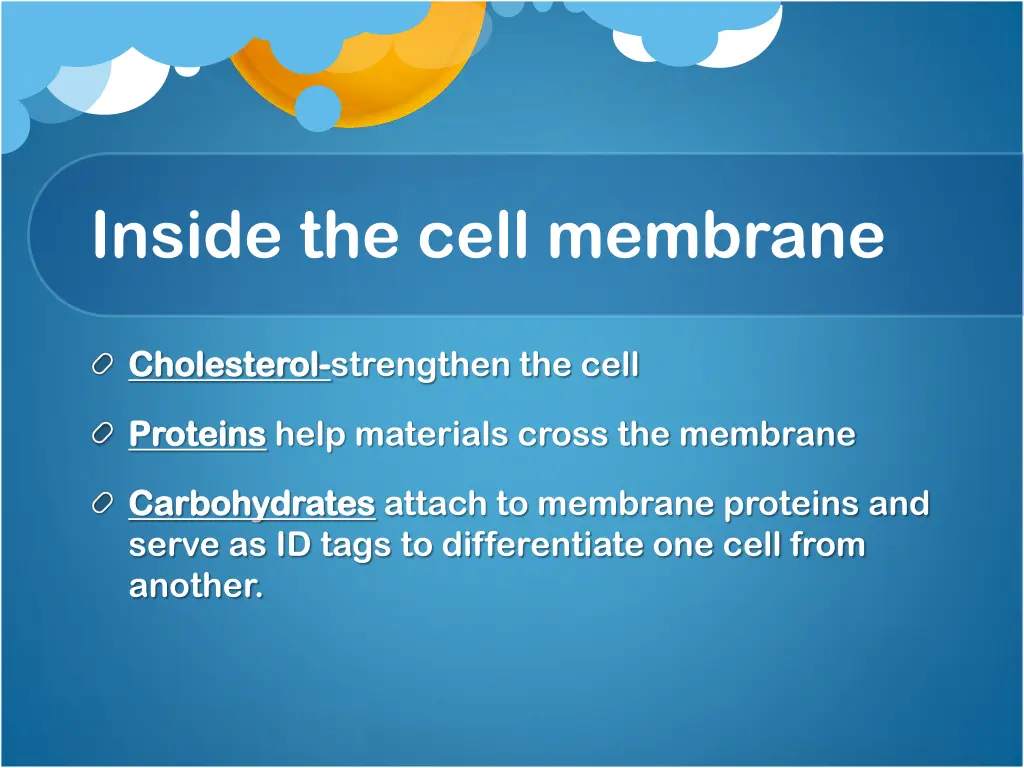 inside the cell membrane