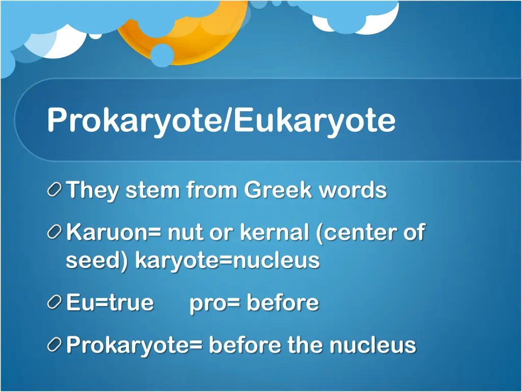 prokaryote eukaryote