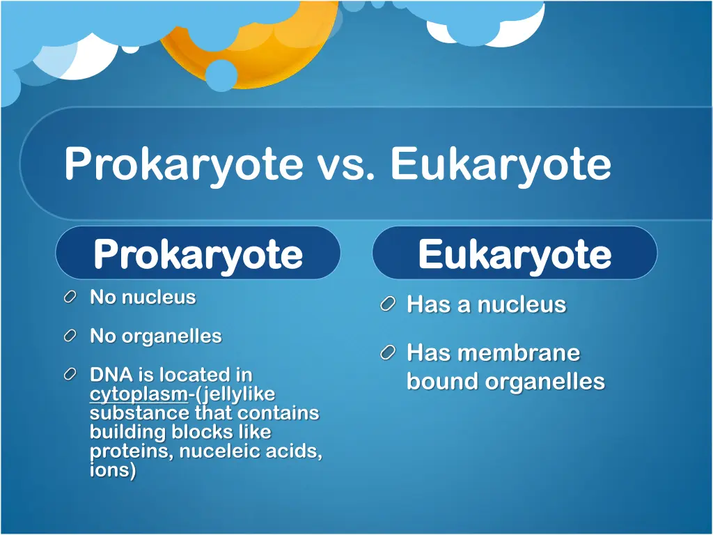 prokaryote vs eukaryote