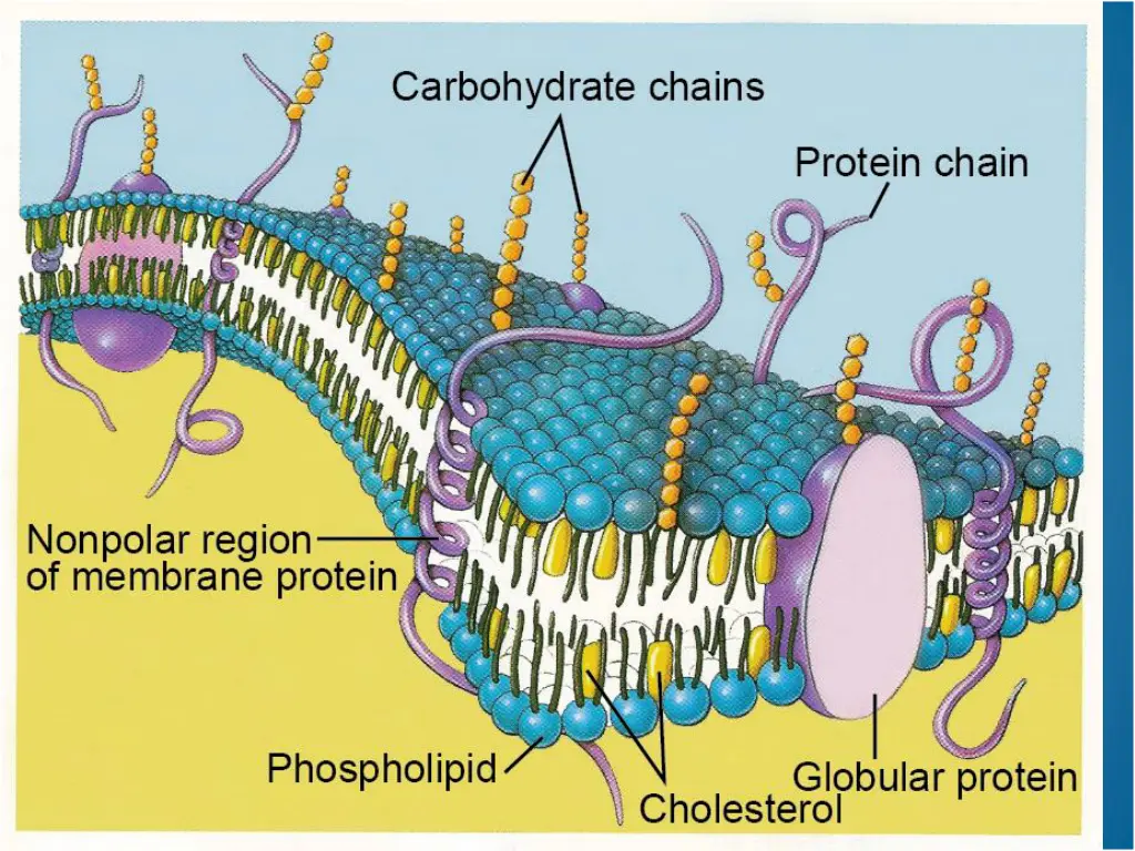 slide16