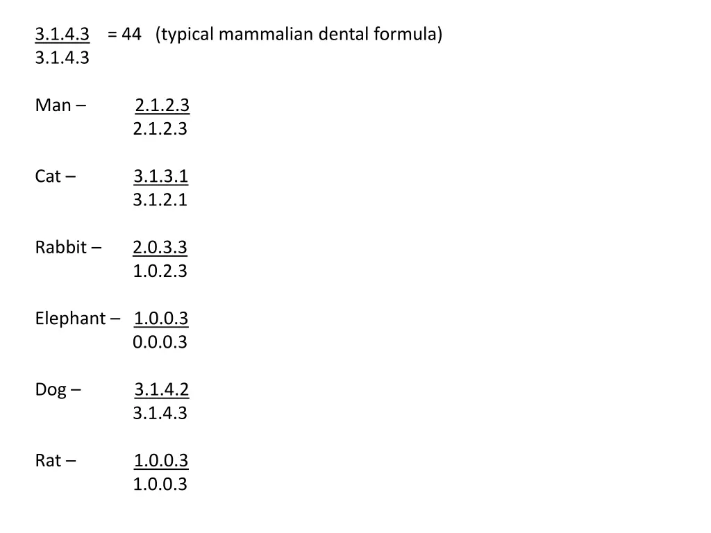 3 1 4 3 44 typical mammalian dental formula