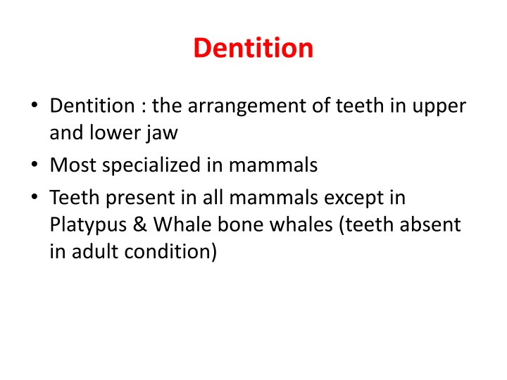 dentition