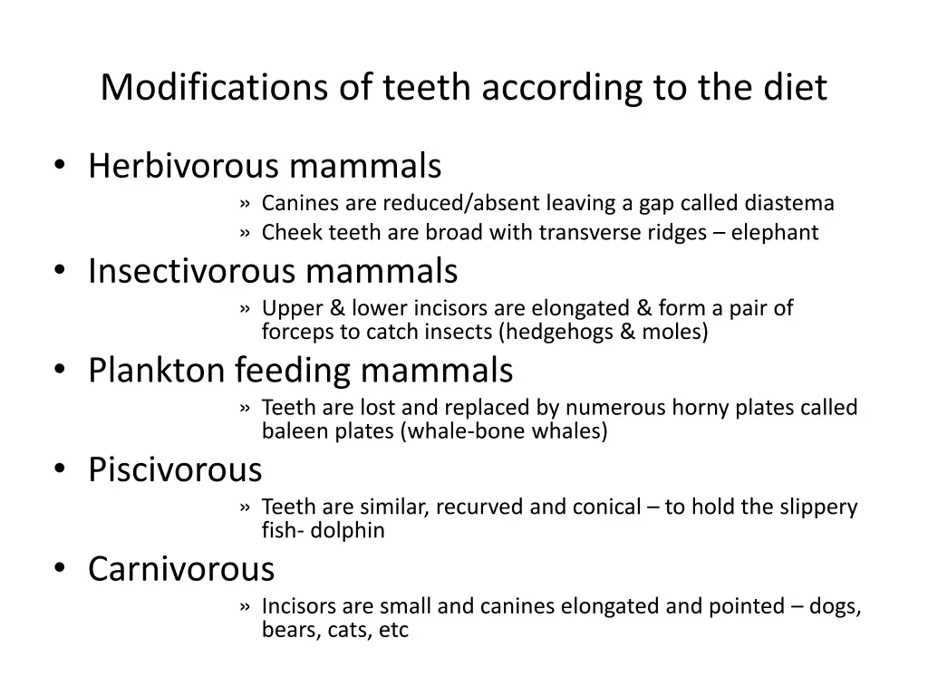 modifications of teeth according to the diet