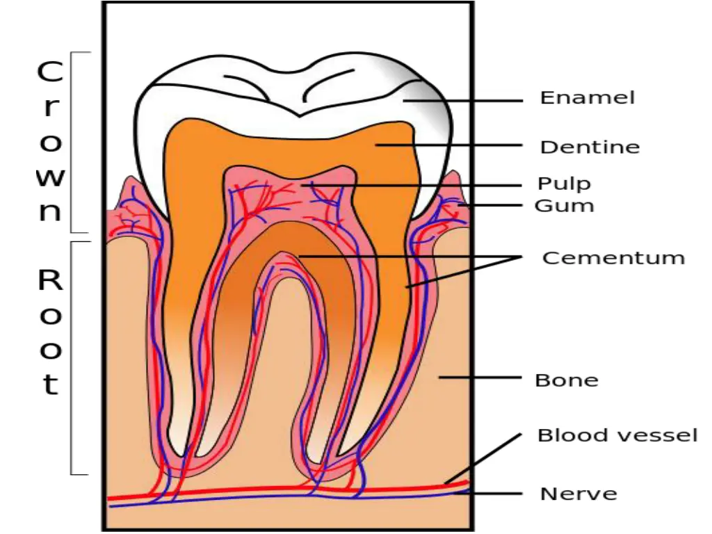 slide4