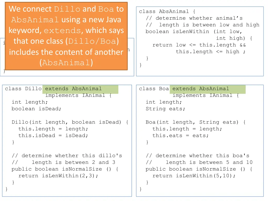 we connect dillo and boa to absanimal using