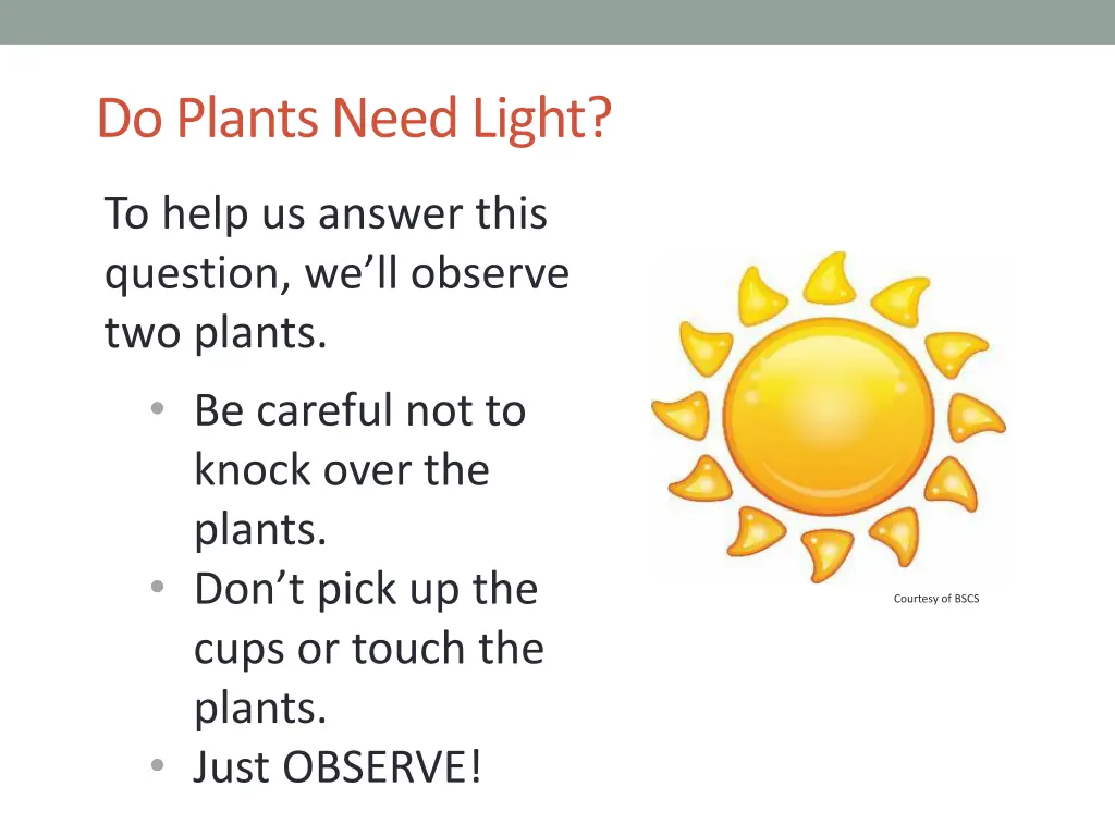 do plants need light