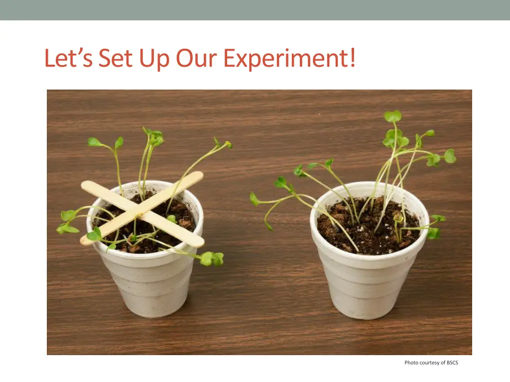 let s set up our experiment