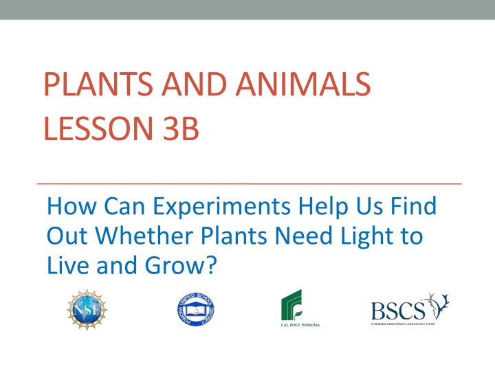 plants and animals lesson 3b