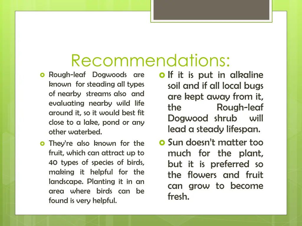 recommendations rough leaf dogwoods are known