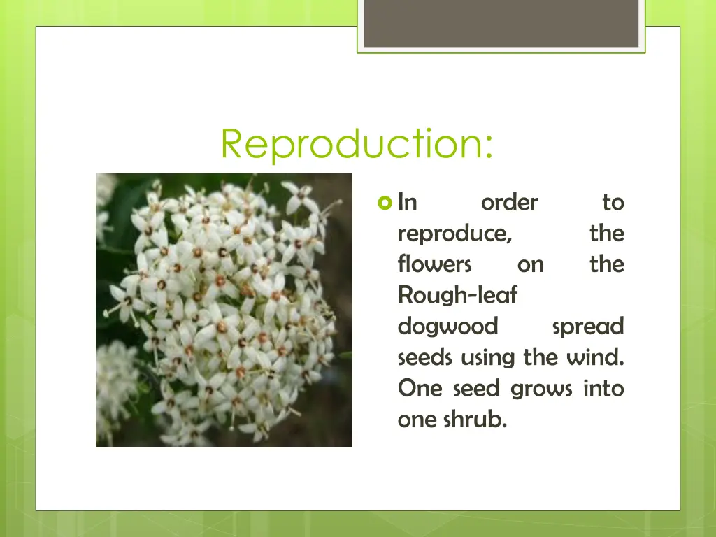 reproduction