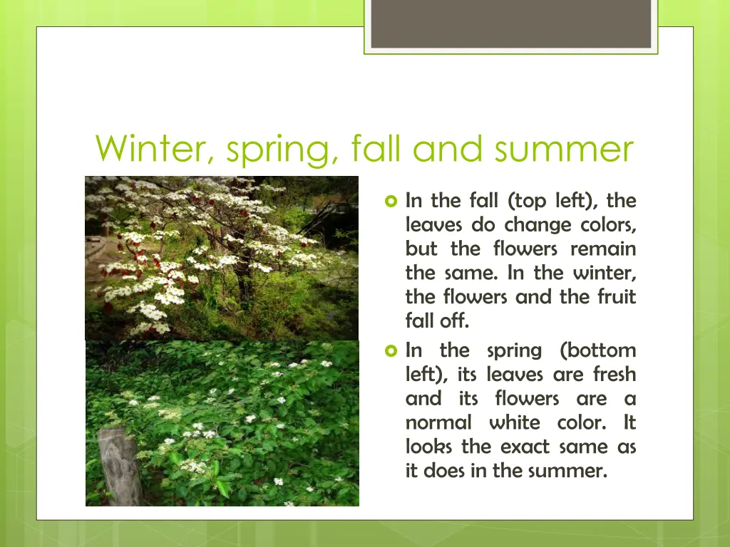 winter spring fall and summer