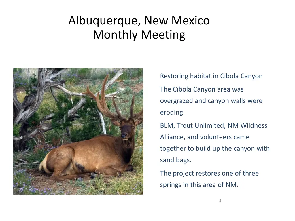 albuquerque new mexico monthly meeting