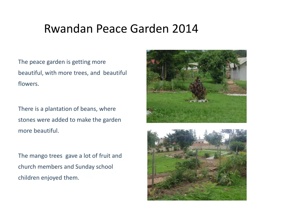 rwandan peace garden 2014