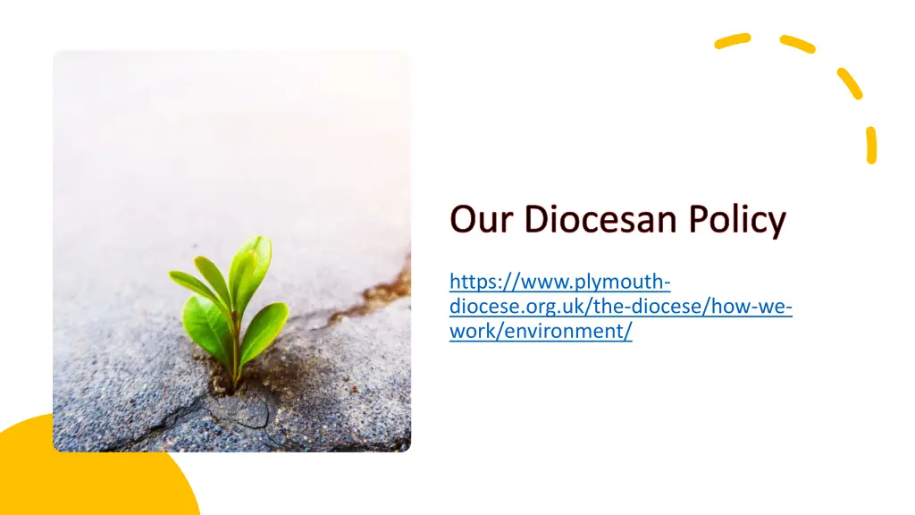 our diocesan policy