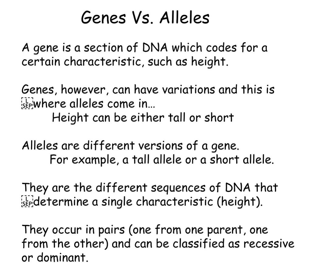 genes vs alleles