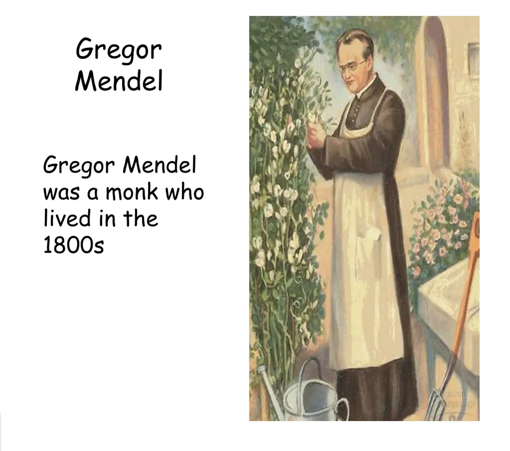 gregor mendel