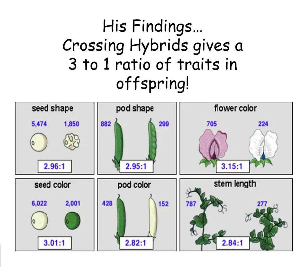 his findings crossing hybrids gives