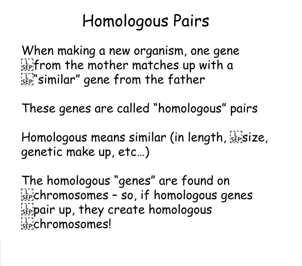 homologous pairs