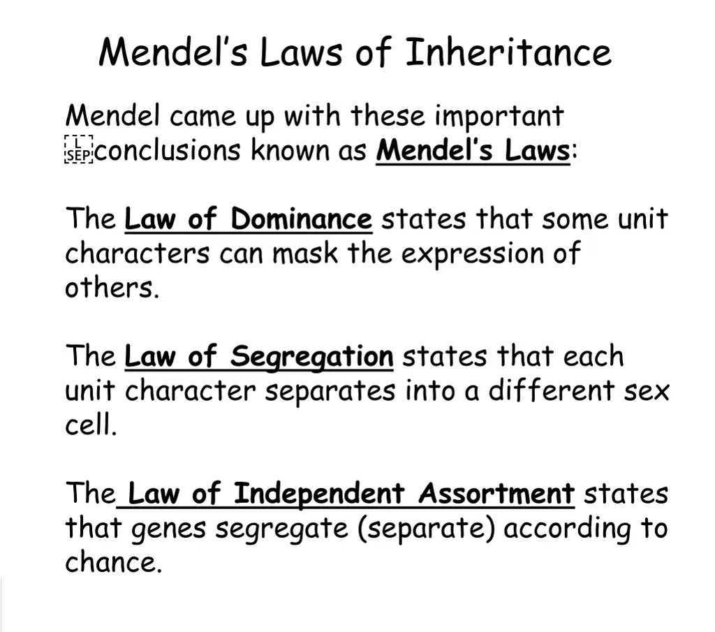 mendel s laws of inheritance