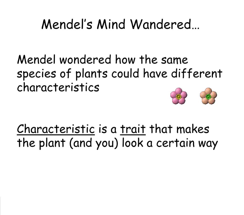 mendel s mind wandered