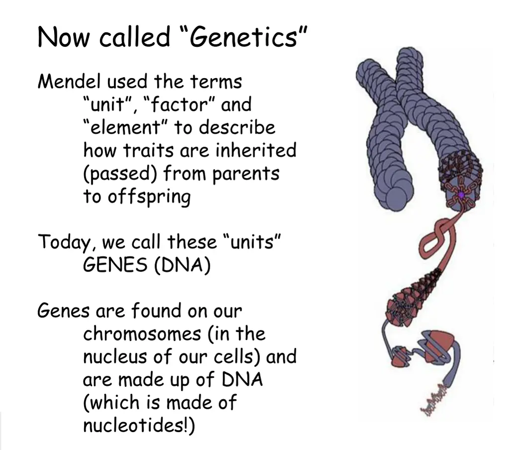 now called genetics