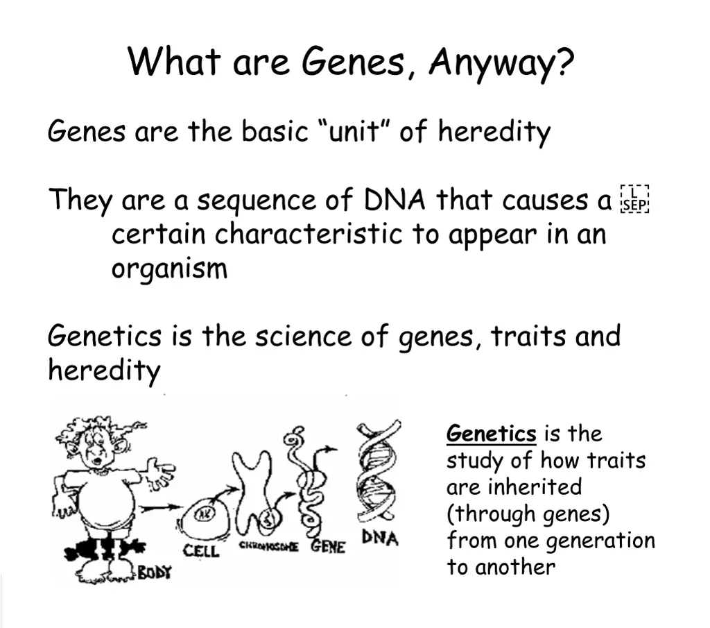 what are genes anyway