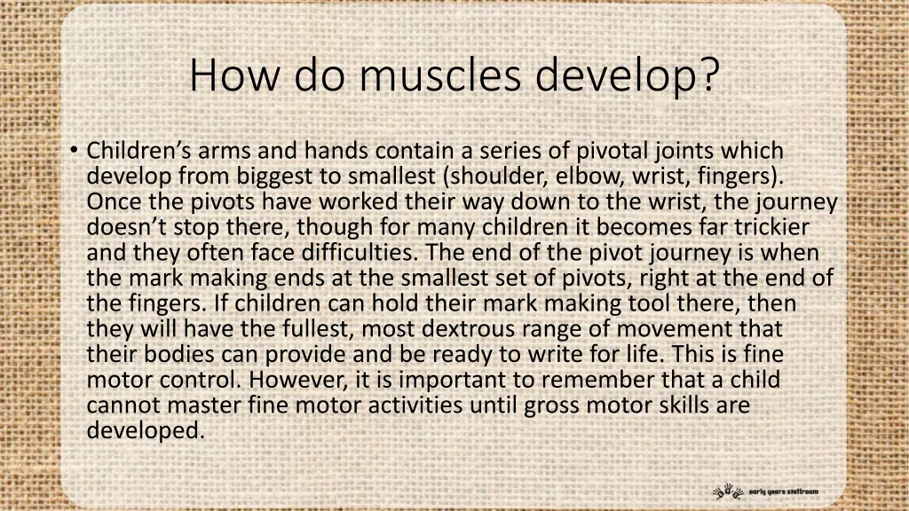 how do muscles develop