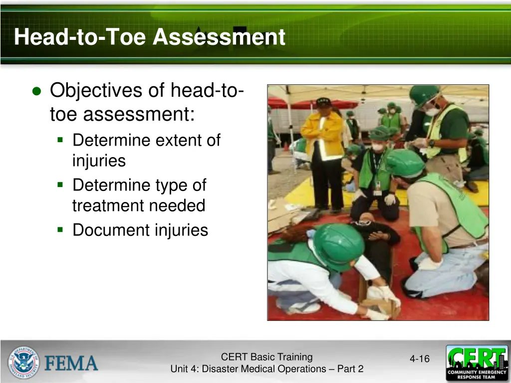 head to toe assessment