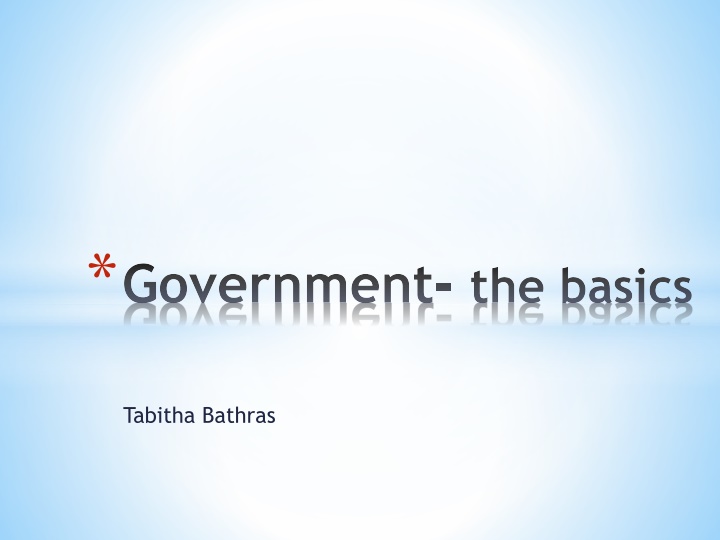 government the basics