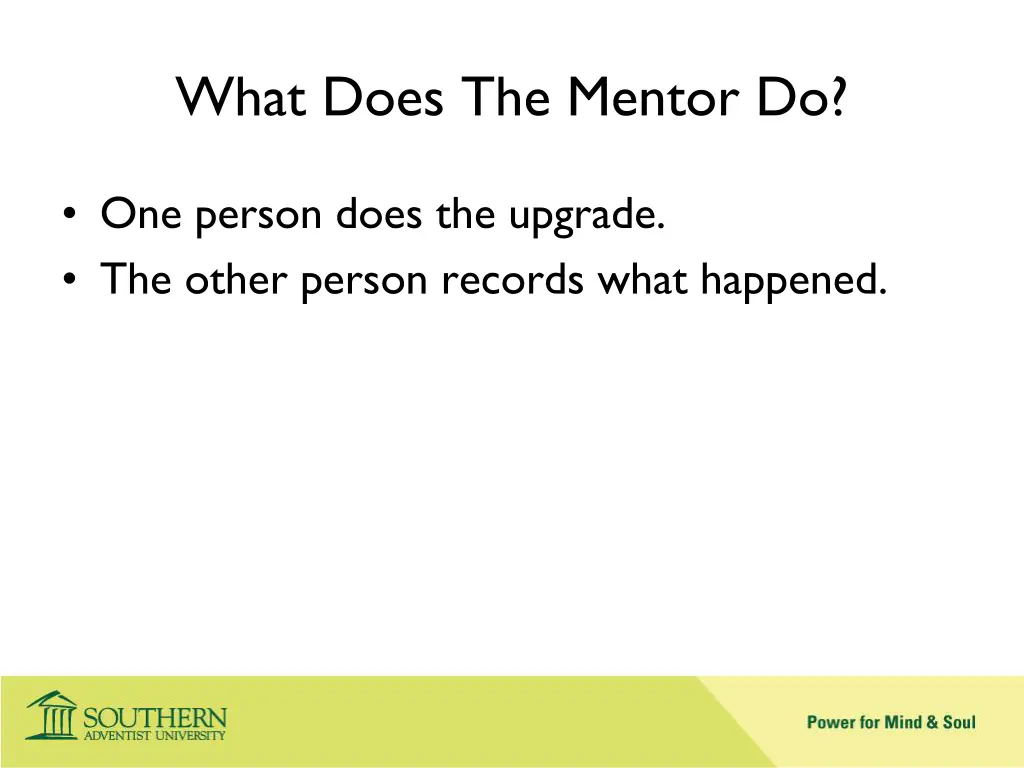 what does the mentor do