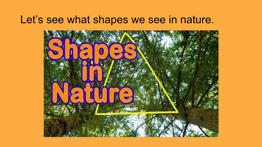 let s see what shapes we see in nature