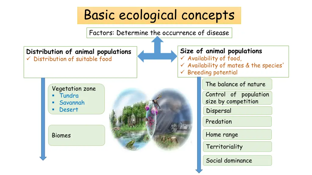 basic ecological concepts