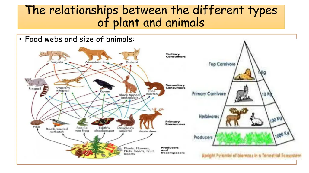 the relationships between the different types 1