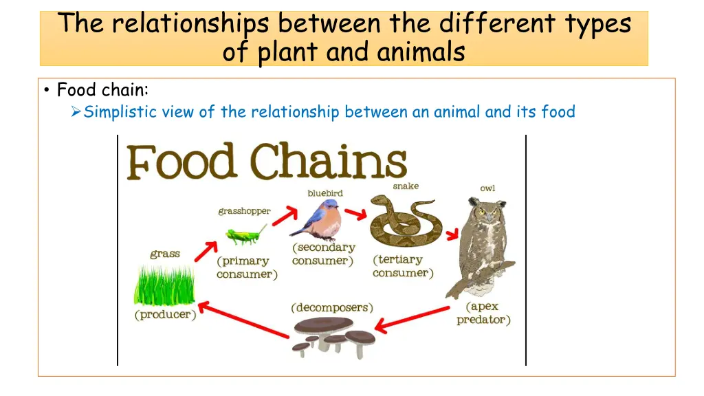 the relationships between the different types