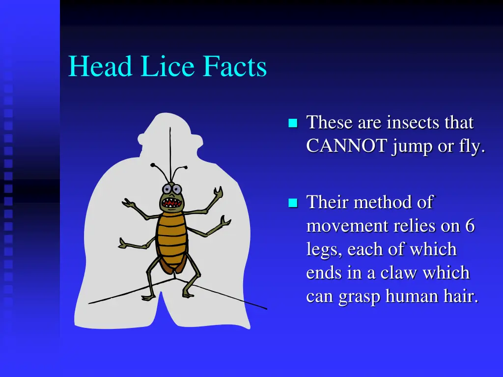 head lice facts