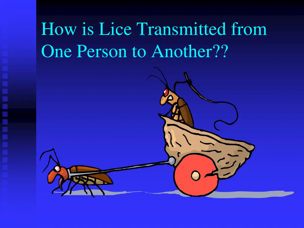 how is lice transmitted from one person to another