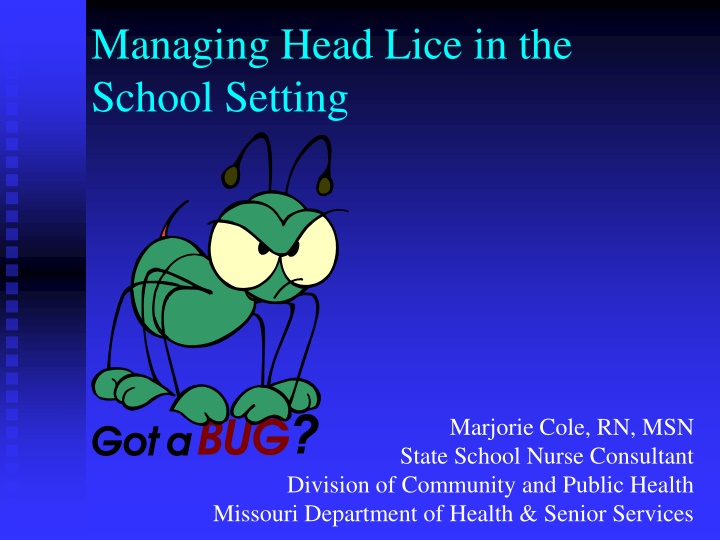 managing head lice in the school setting