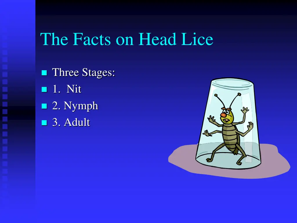 the facts on head lice