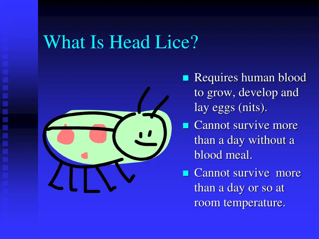 what is head lice 1