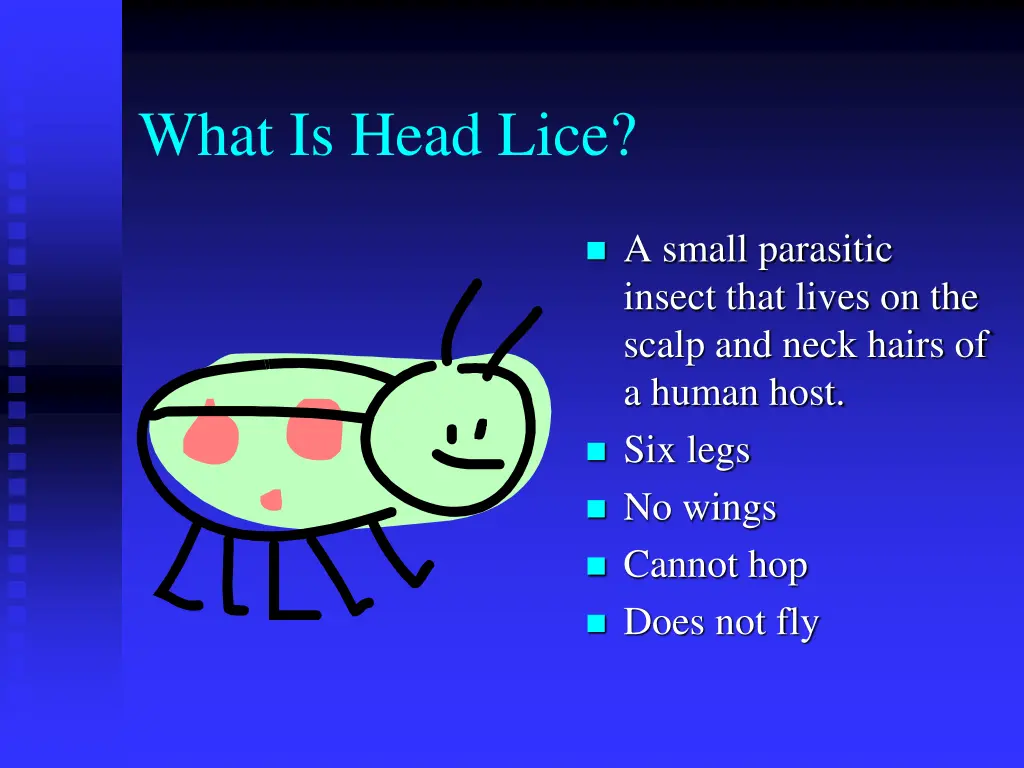 what is head lice