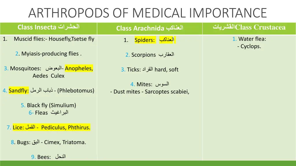 arthropods of medical importance class insecta