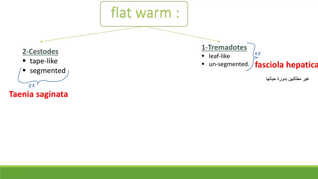 flat warm