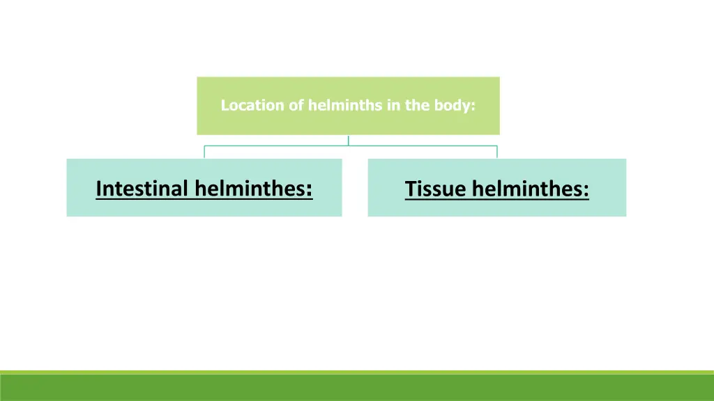 location of helminths in the body